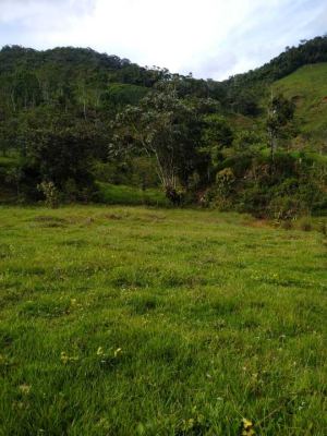 Foto 2 de Finca en San Roque