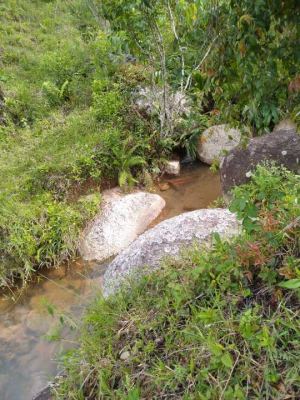 Foto 3 de Finca en San Roque