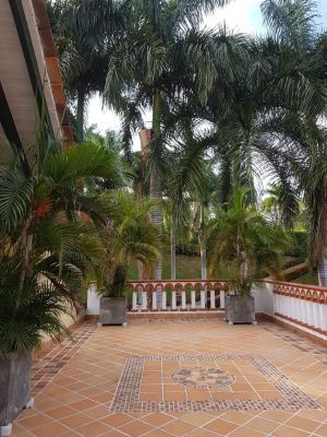 Foto 3 de Finca en Santa Fe de Antioquia Vereda Pan Gordito