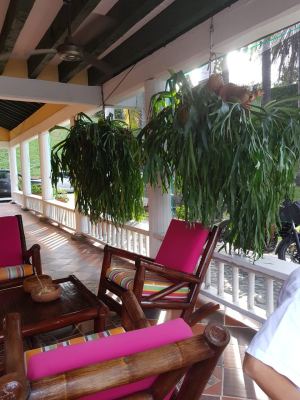 Foto 5 de Finca en Venta en Vereda Pan Gordito, Santa Fe de Antioquia de 4800 M²