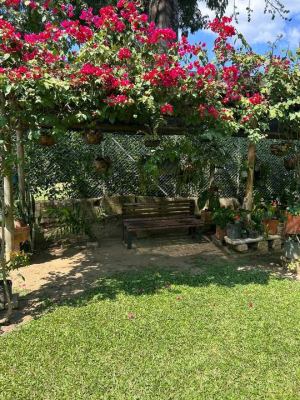 Foto 7 de Finca en Santa Fe de Antioquia