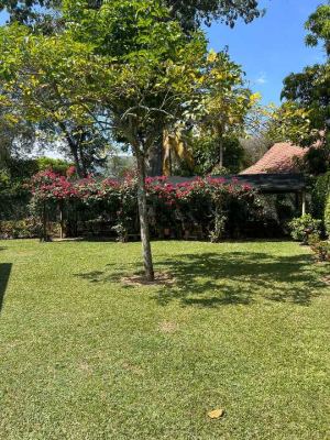 Foto 8 de Finca en Santa Fe de Antioquia