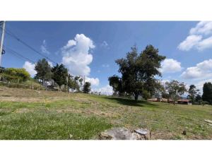 Foto 8 de Lote en Venta en las Palmas, Medellín de 5752 M²