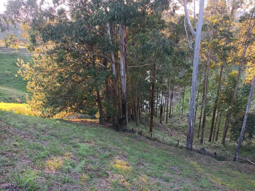 Lote en Peñol, El Peñol, Antioquia