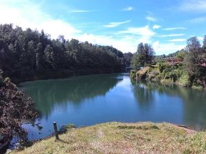 Foto 8 de Lote en Venta en Vereda el Marial, el Peñol de 30000 M²