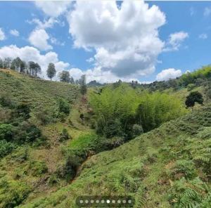 Foto 4 de Lote En El Peñol Vereda El Marial