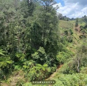 Foto 6 de Lote en Venta en Vereda el Marial, el Peñol de 25631 M²