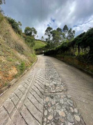 Foto 5 de Lote en el Peñol Vereda Uvital