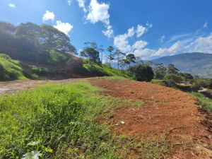 Foto 4 de Lote en Girardota Vereda Portachuelo