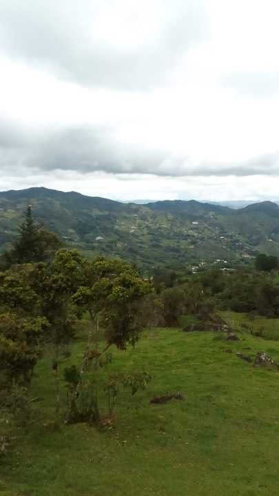 Lote en Peñol, El Peñol, Antioquia