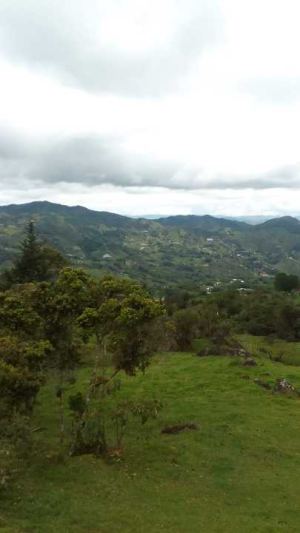 Foto 1 de Lote en Peñol Vereda Masetas