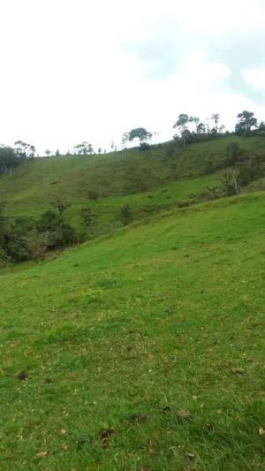 Foto 4 de Lote en Peñol Vereda Masetas