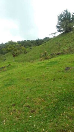 Foto 5 de Lote en Venta en el Peñol de 200000 M²
