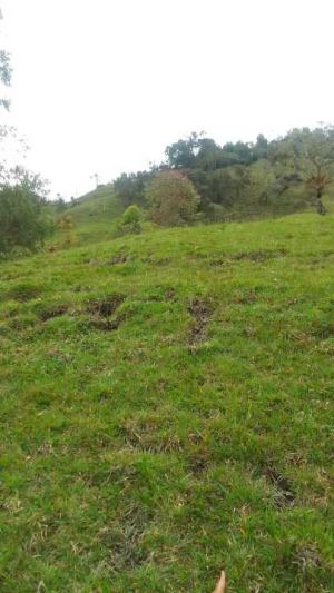 Foto 7 de Lote en Venta en el Peñol de 200000 M²