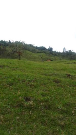 Foto 8 de Lote en Venta en el Peñol de 200000 M²