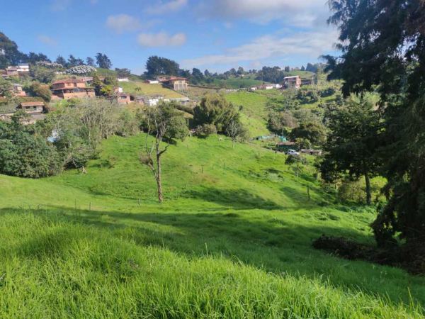 Lote en san Félix Sector el Yarumo