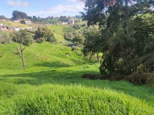 Foto 5 de Lote en San Félix Sector el Yarumo