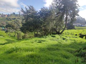 Foto 6 de Lote en San Félix Sector el Yarumo
