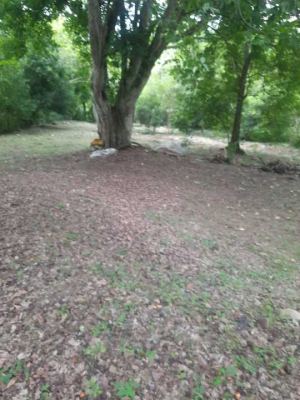 Foto 3 de Lote en San Jerónimo