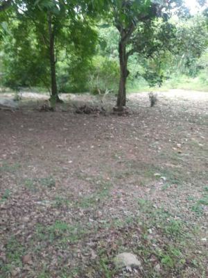 Foto 4 de Lote en San Jerónimo