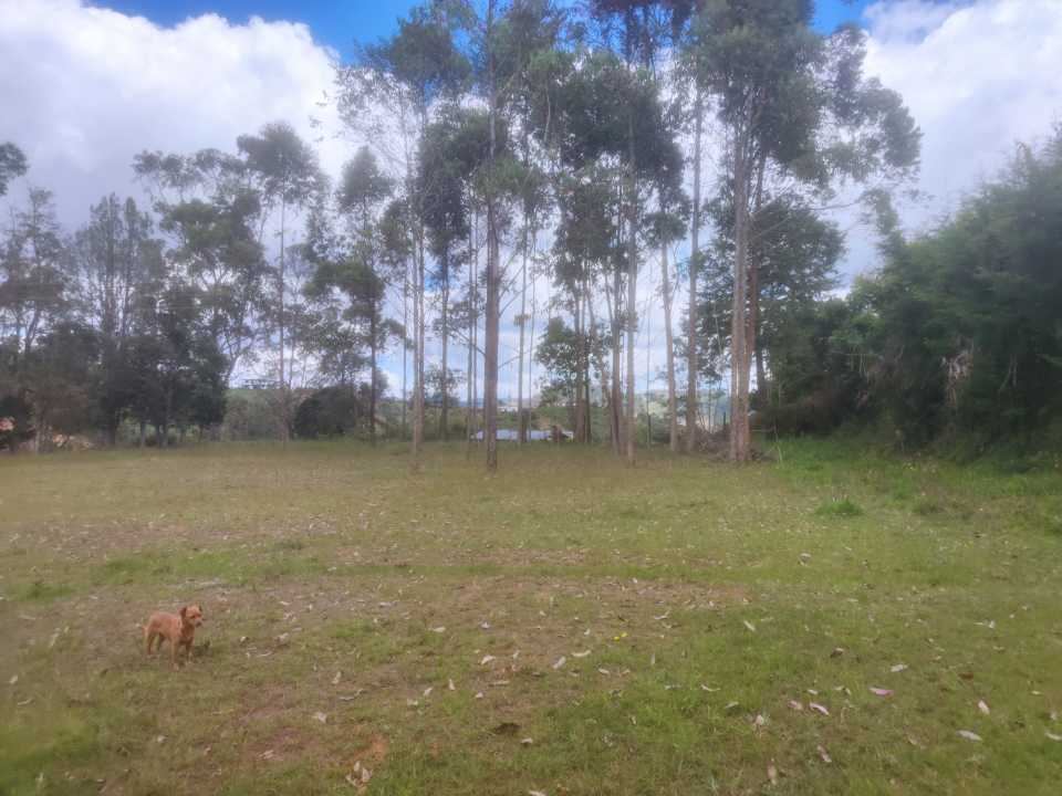 Lote en Vereda Porquera, San Vicente, Antioquia