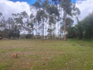 Foto 1 de Lote en San Vicente Vereda Porquera
