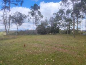 Foto 2 de Lote en San Vicente Vereda Porquera