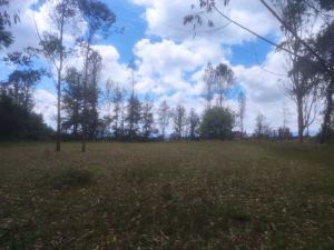 Foto 3 de Lote en San Vicente Vereda Porquera