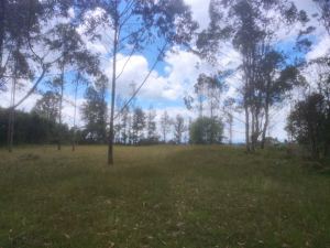Foto 4 de Lote en San Vicente Vereda Porquera