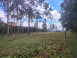 Foto 5 de Lote en San Vicente Vereda Porquera