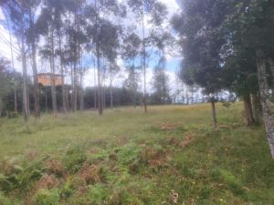 Foto 6 de Lote en San Vicente Vereda Porquera