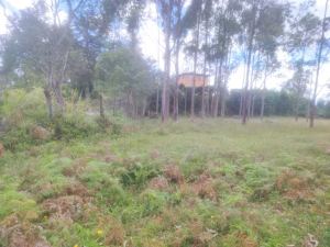 Foto 7 de Lote en San Vicente Vereda Porquera