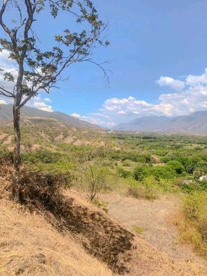 Foto 4 de Lote en Santa Fe de Antioquia Sector Tonusco