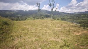 Foto 1 de Lote San Rafael Vereda Jaguas