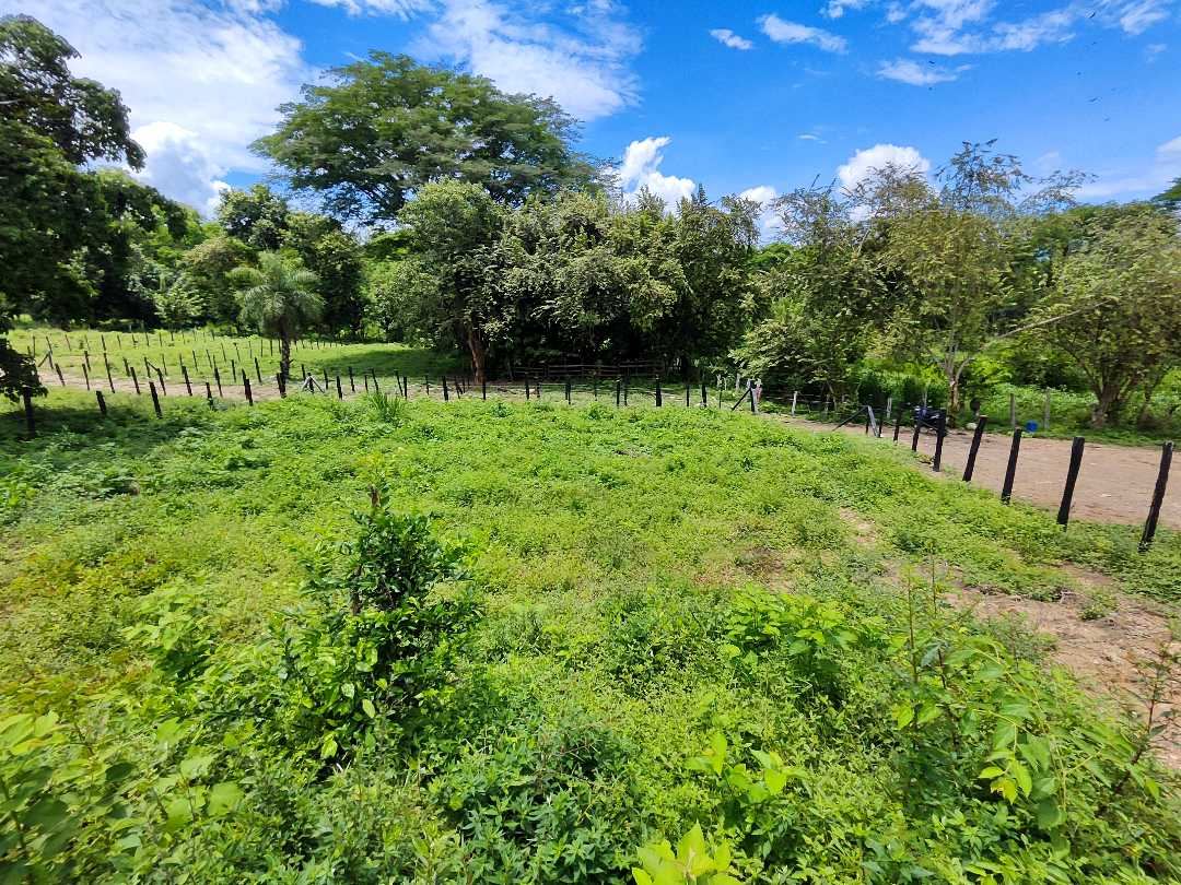Lote en Vereda Llanos De Miranda, Sopetran, Antioquia