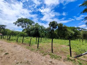 Foto 7 de Lote de 600 M² en Venta en Vereda Llanos de Miranda, Sopetrán