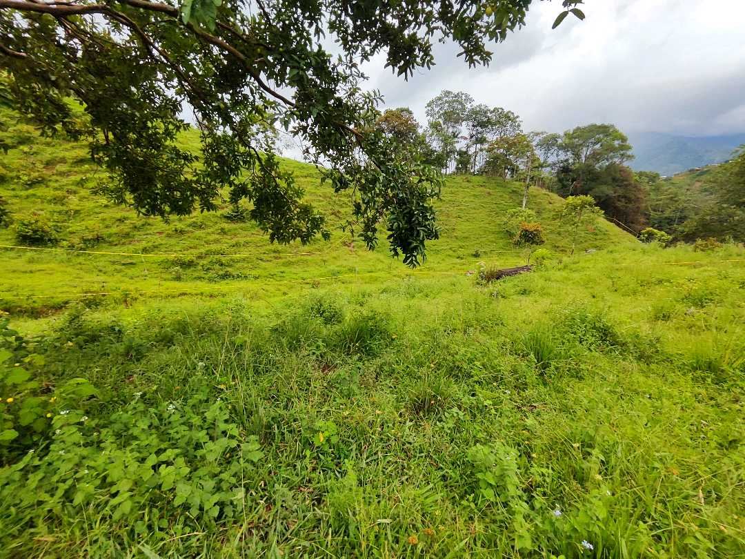 Lote en Aguas Claras, Barbosa, Antioquia